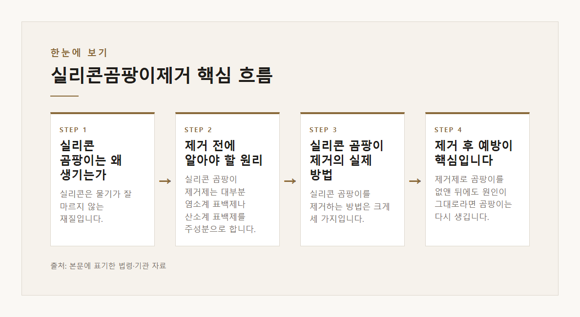 실리콘곰팡이제거 본문·공식출처 기반 설명 도표 1 · 본문 기반