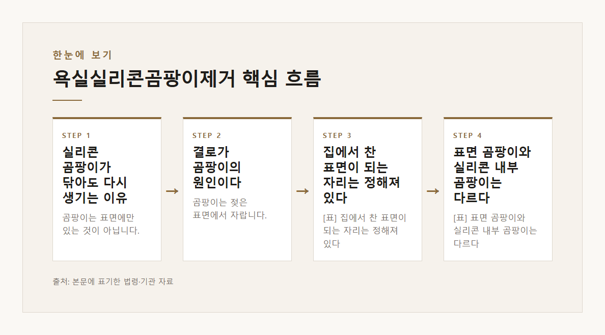 욕실실리콘곰팡이제거 본문·공식출처 기반 설명 도표 1 · 본문 기반