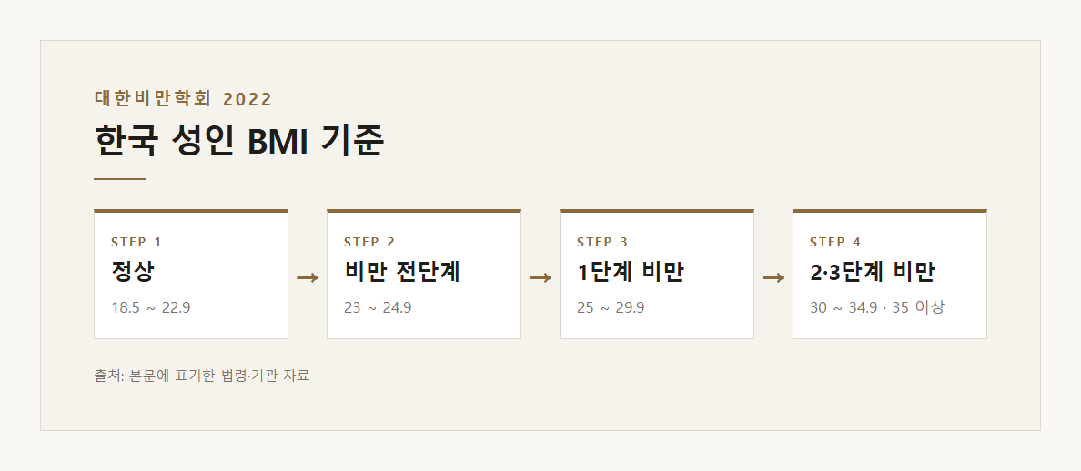 한국 성인 BMI 기준 — 본문 내용을 정리한 도표