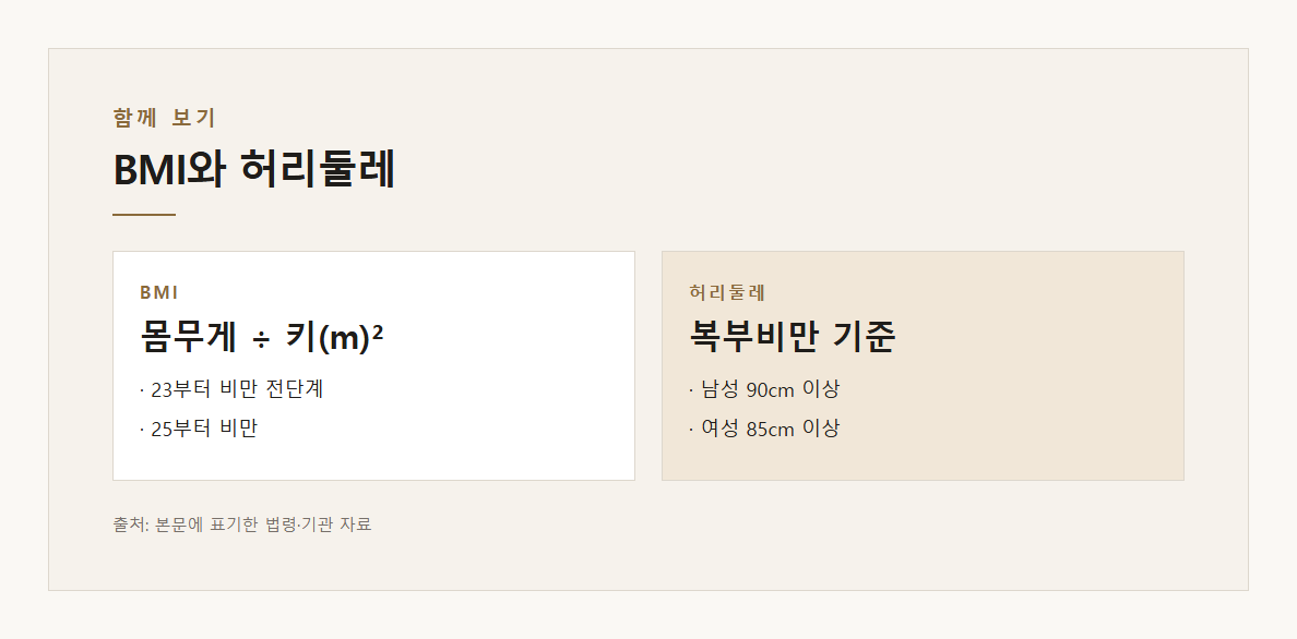 BMI와 허리둘레 — 본문 내용을 정리한 도표